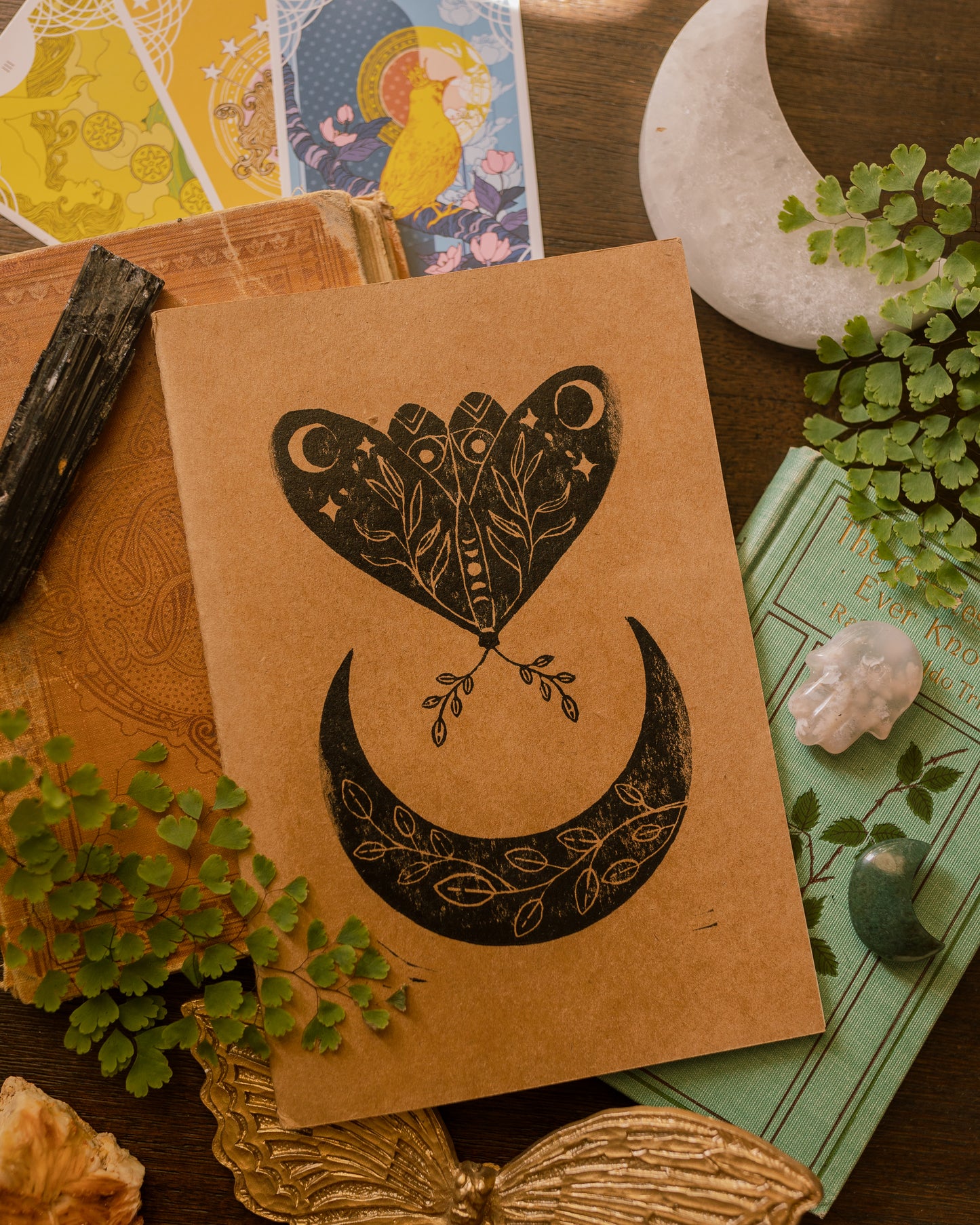 Lunar Moth Eclipse Manifestation Journal (Hardcover)