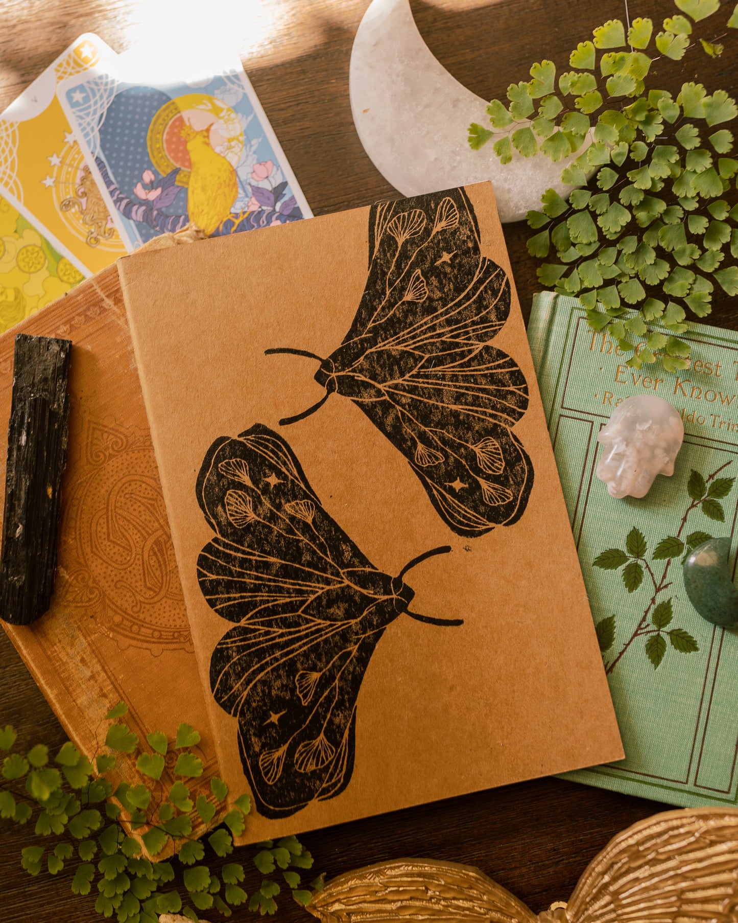 Maiden Moth Manifestation Journal (Hardcover)