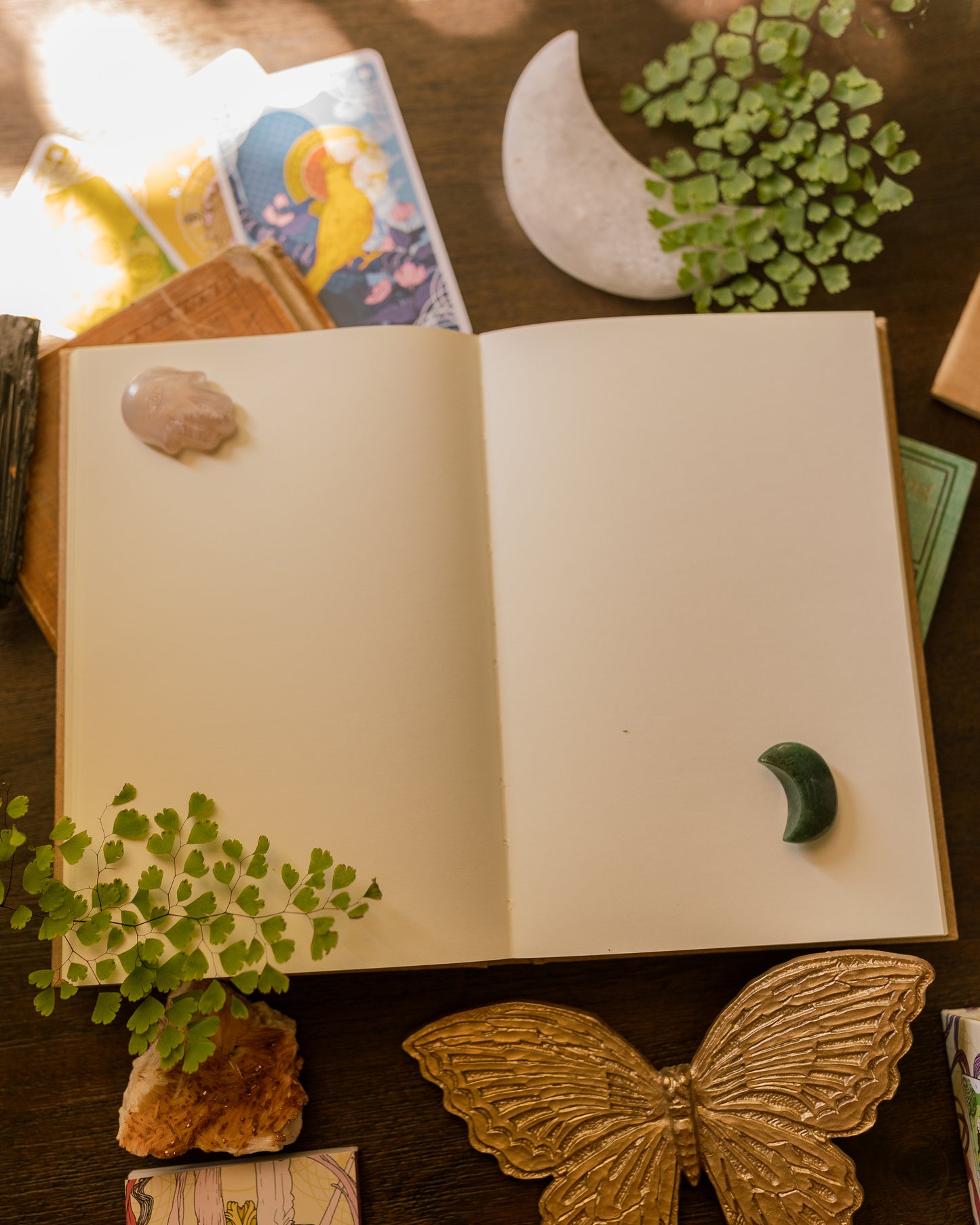 Maiden Moth Manifestation Journal (Hardcover)