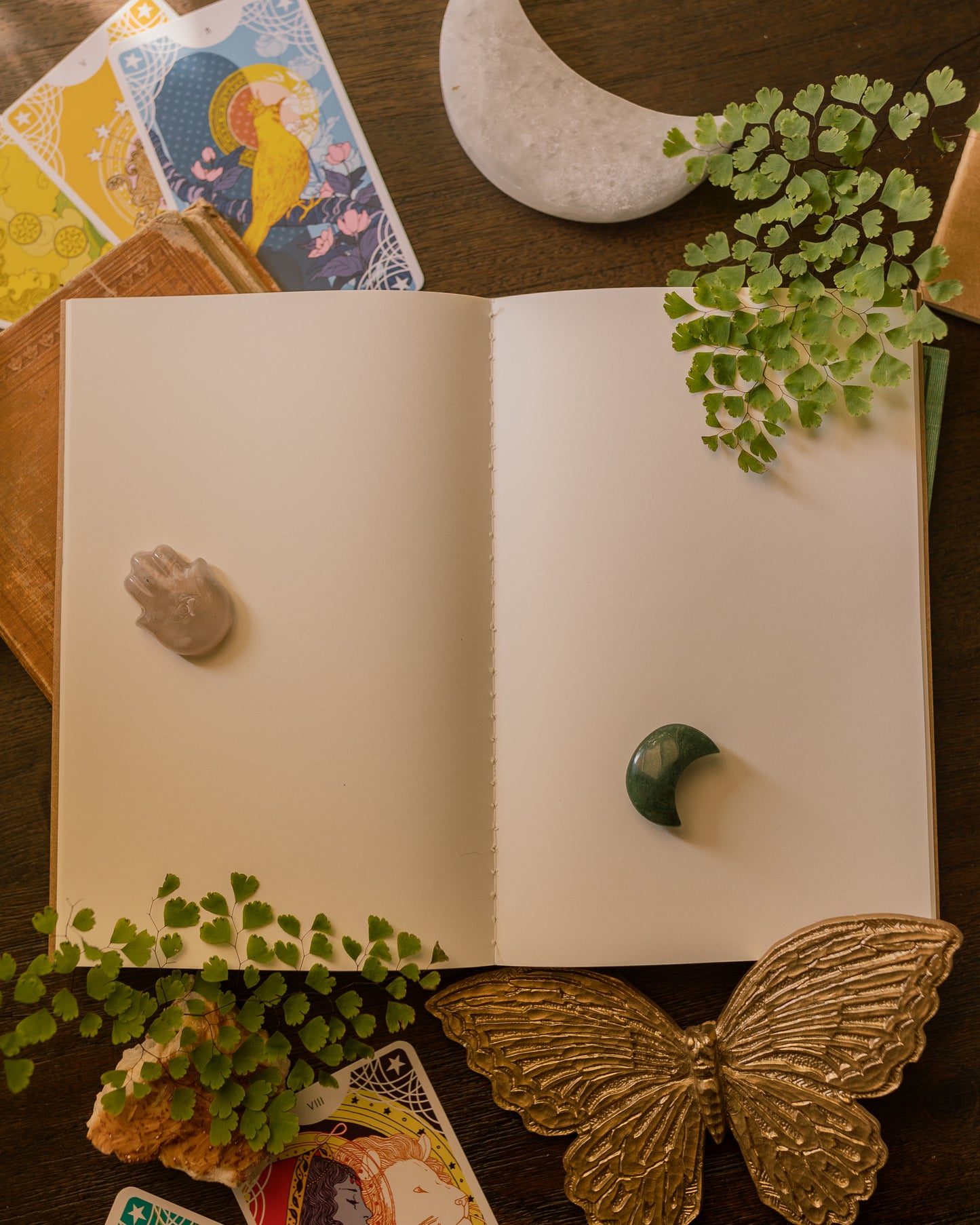 Lunar Moth Eclipse Dream Journal (Softcover)