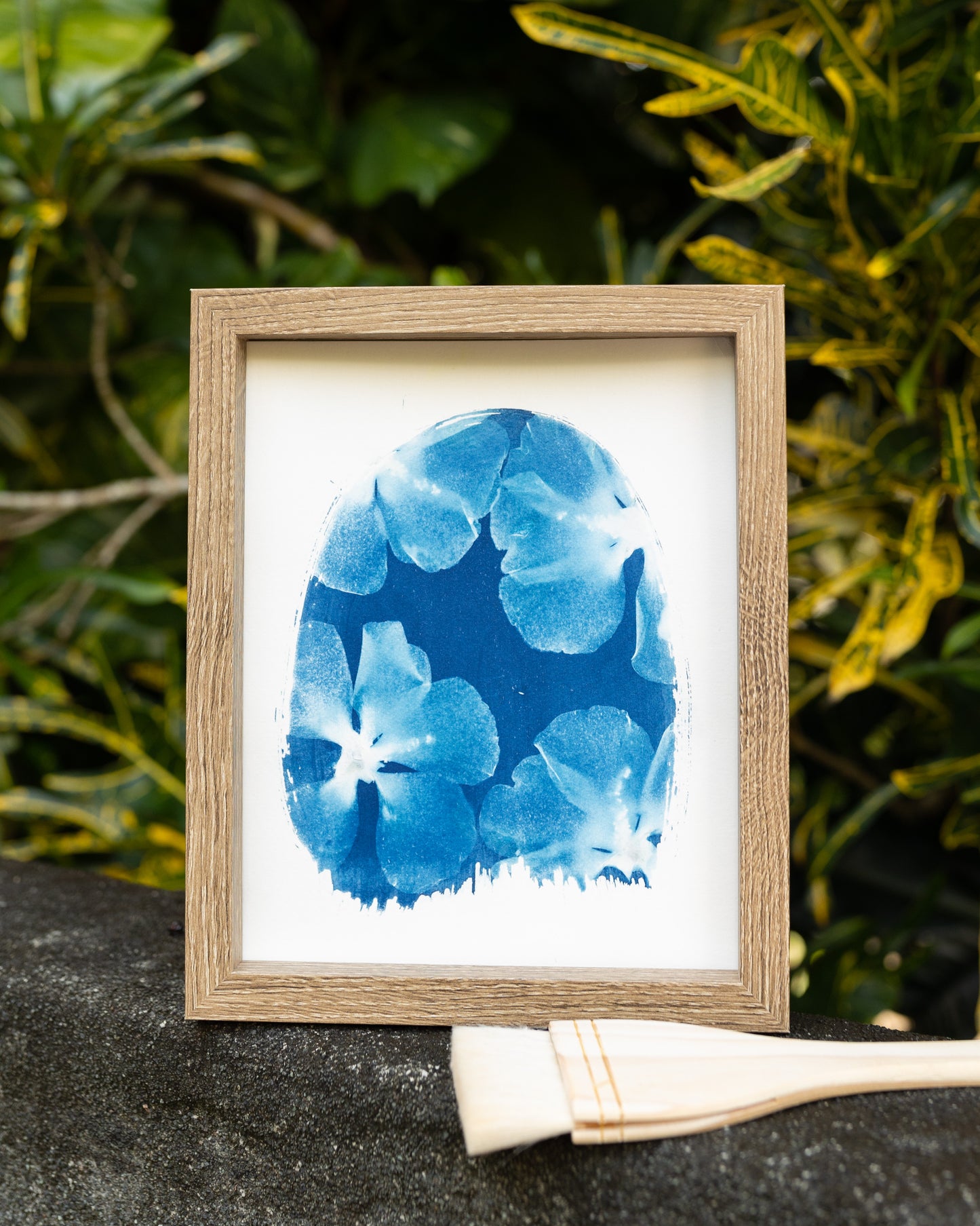 Hibiscus In the Window Cyanotype Print