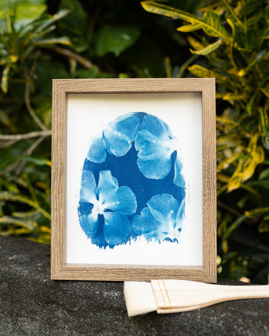 Hibiscus In the Window Cyanotype Print