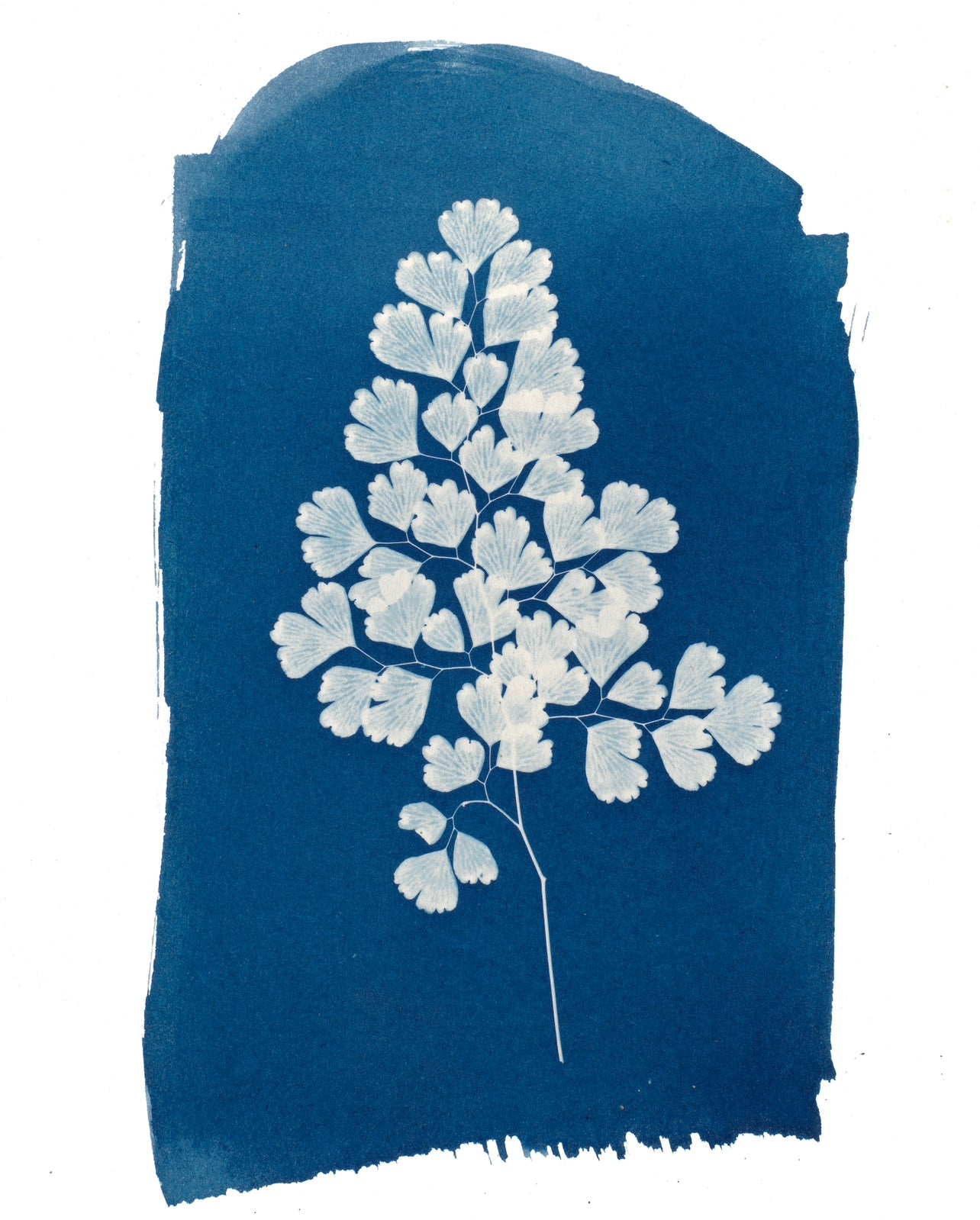 Maiden In The Window Cyanotype Print