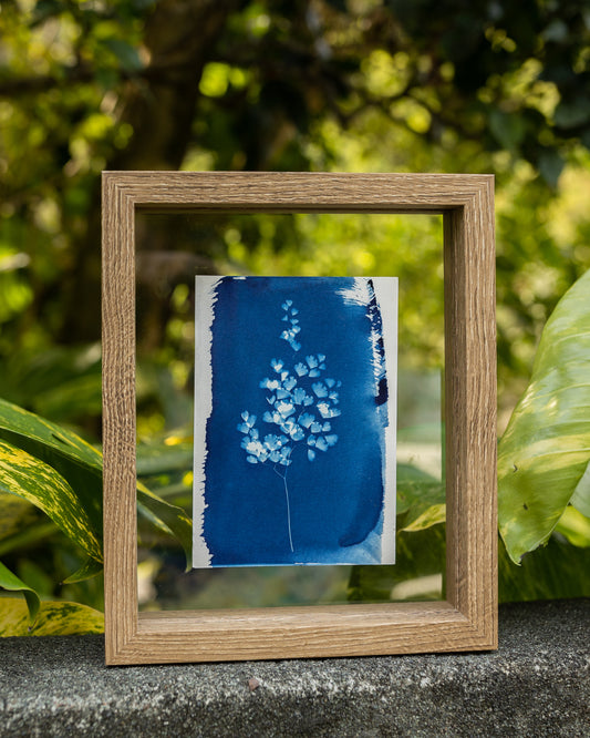 Maiden In The Water Cyanotype Print