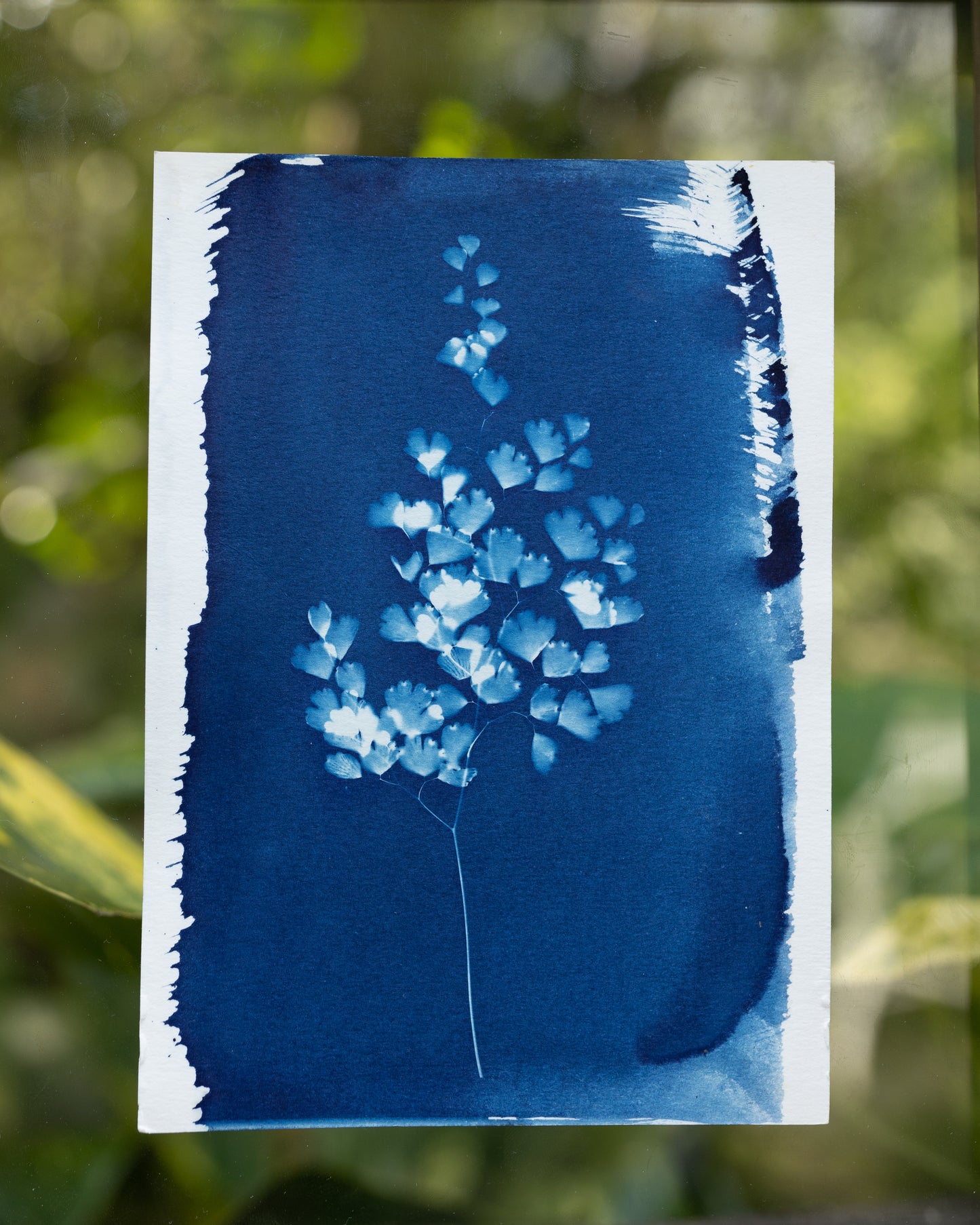 Maiden In The Water Cyanotype Print