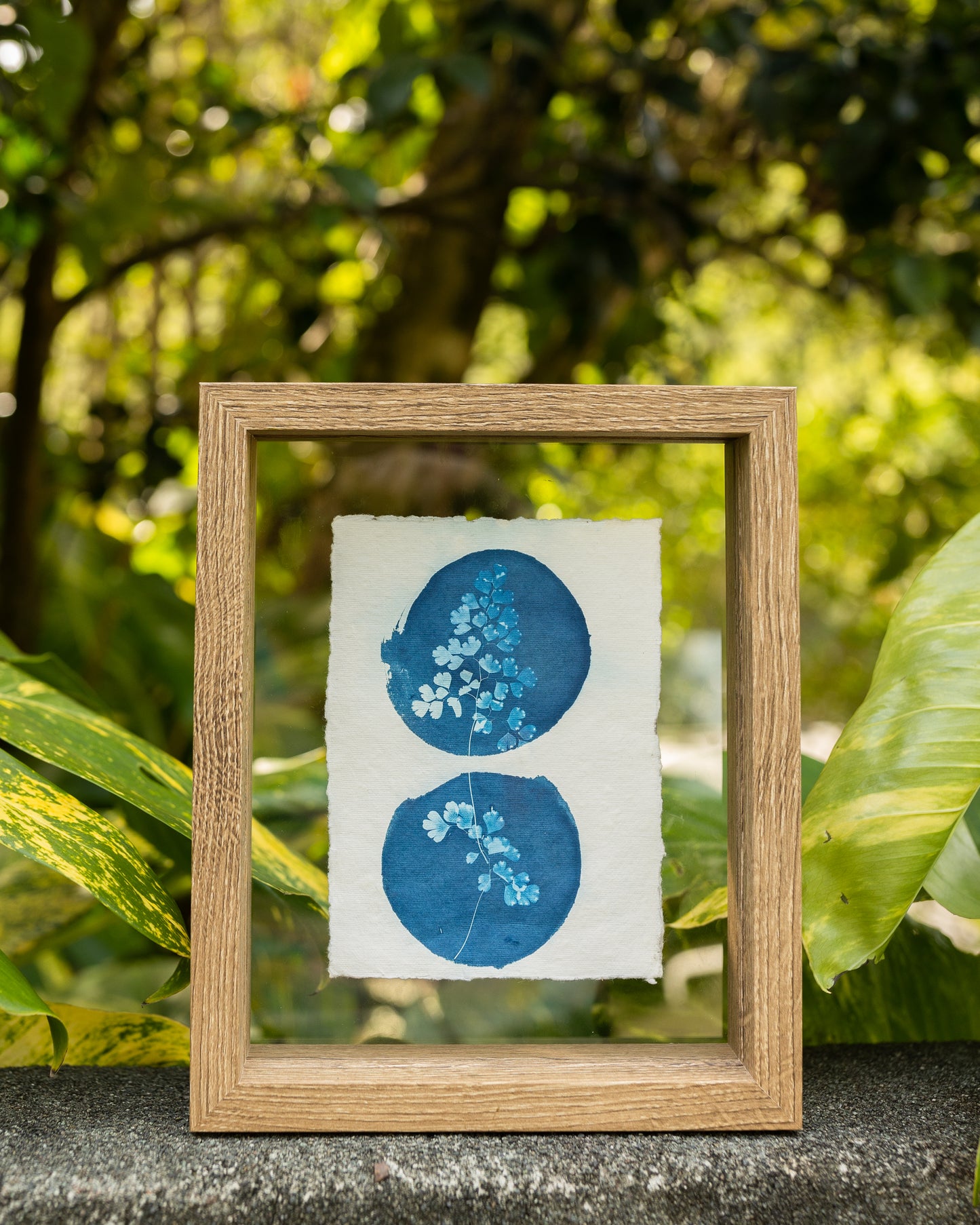 Gemini Maidenhair Cyanotype Print