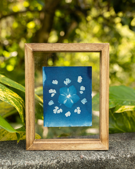 Garden Mandala- Original Cyanotype Print