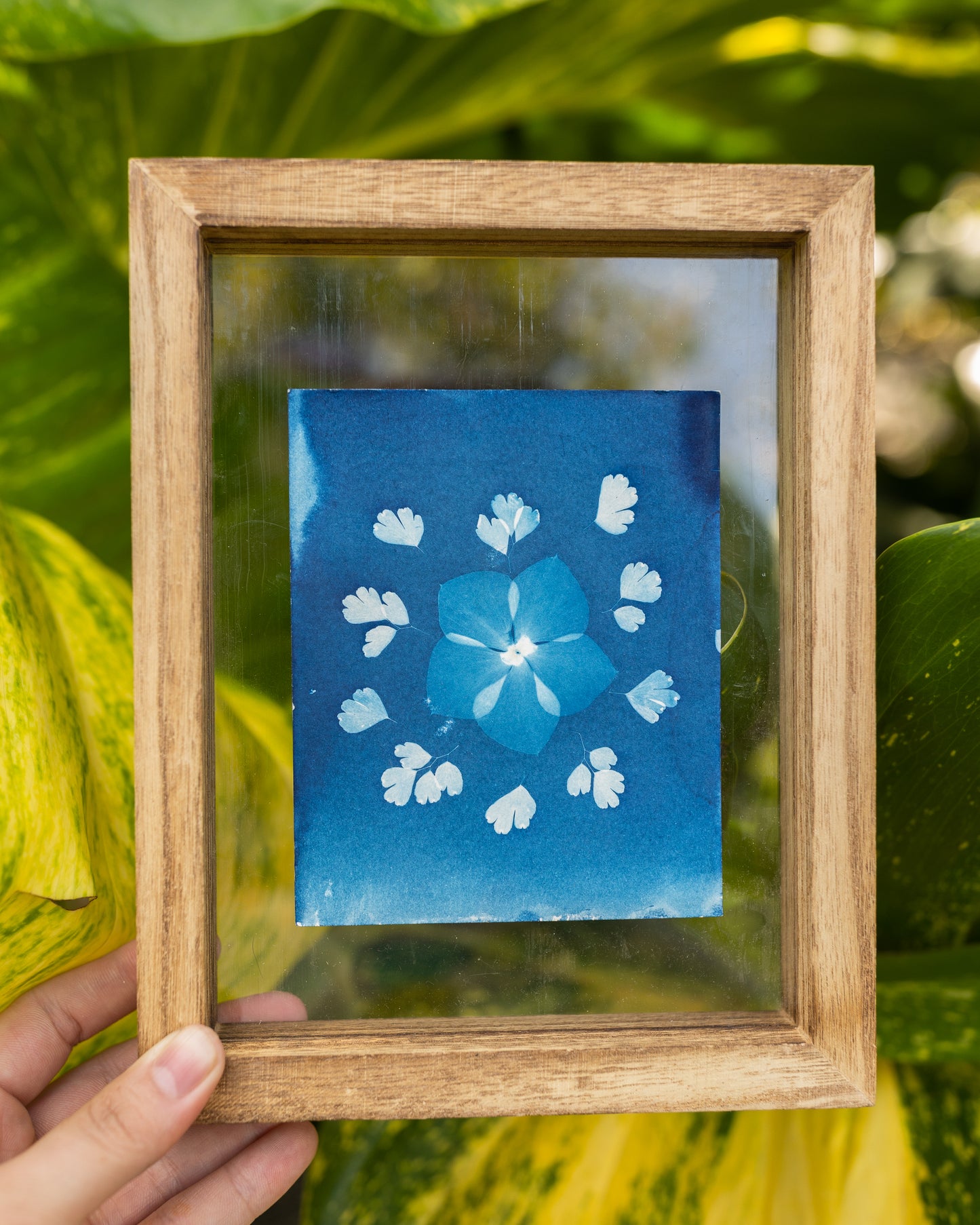 Garden Mandala- Original Cyanotype Print