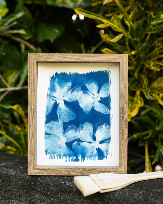 Hibiscus Quartet Cyanotype Print