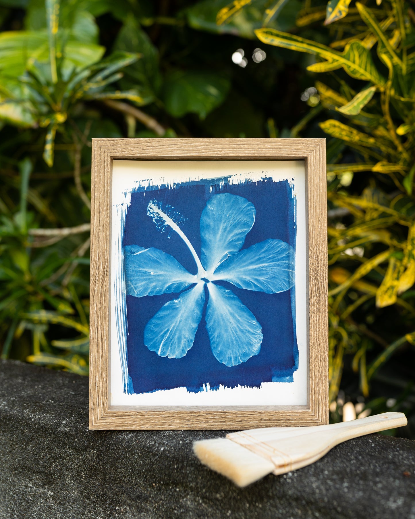 Reaching Hibiscus Cyanotype Print