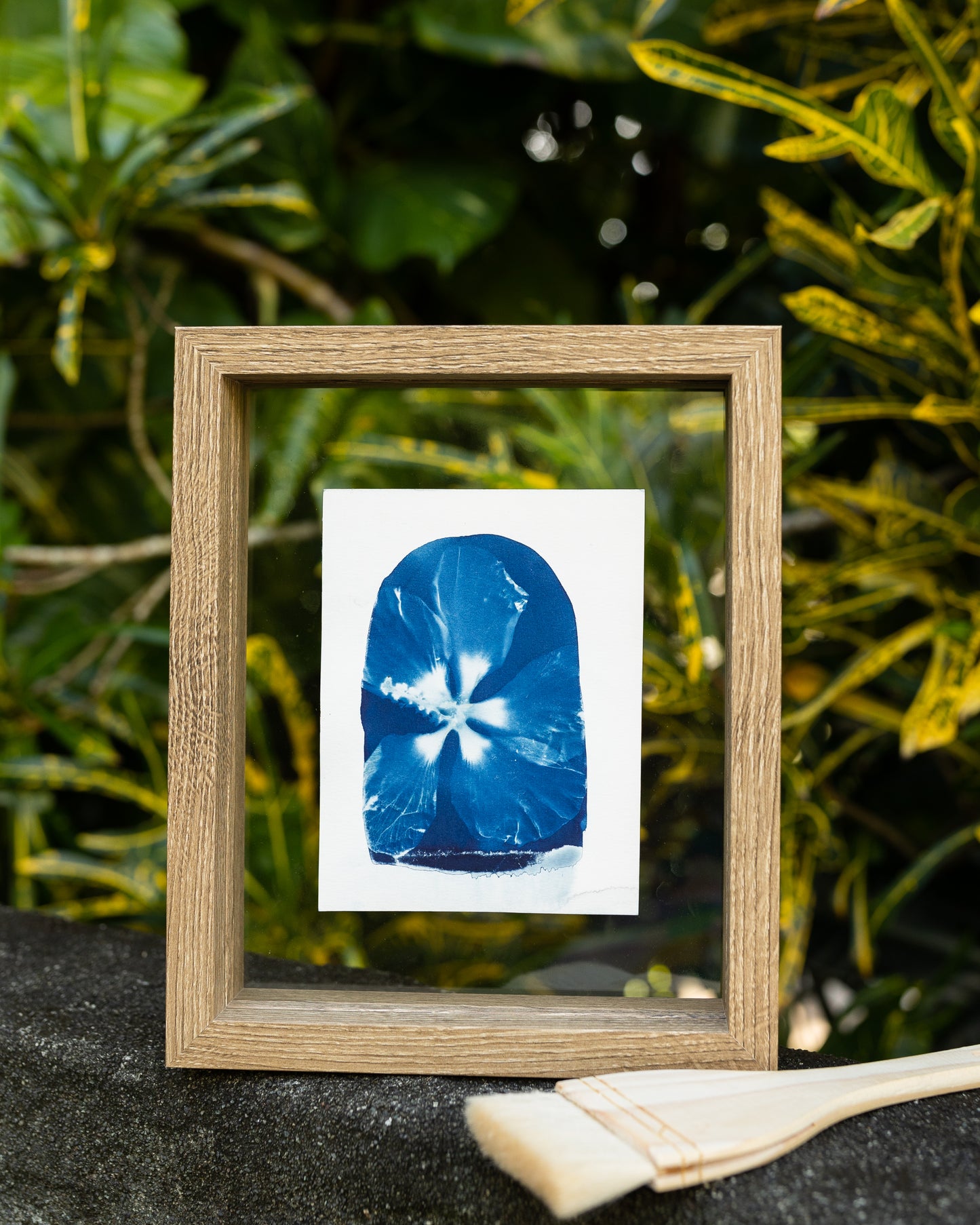 Hibiscus Rain Cyanotype Print