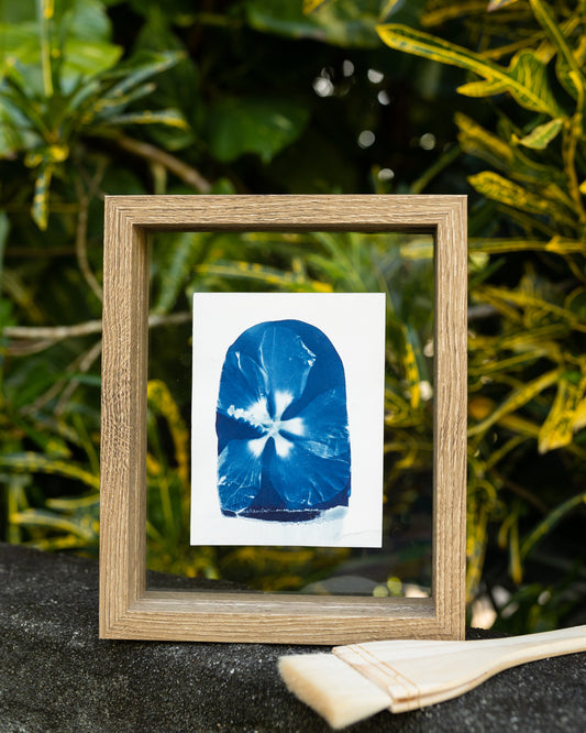 Hibiscus Rain Cyanotype Print