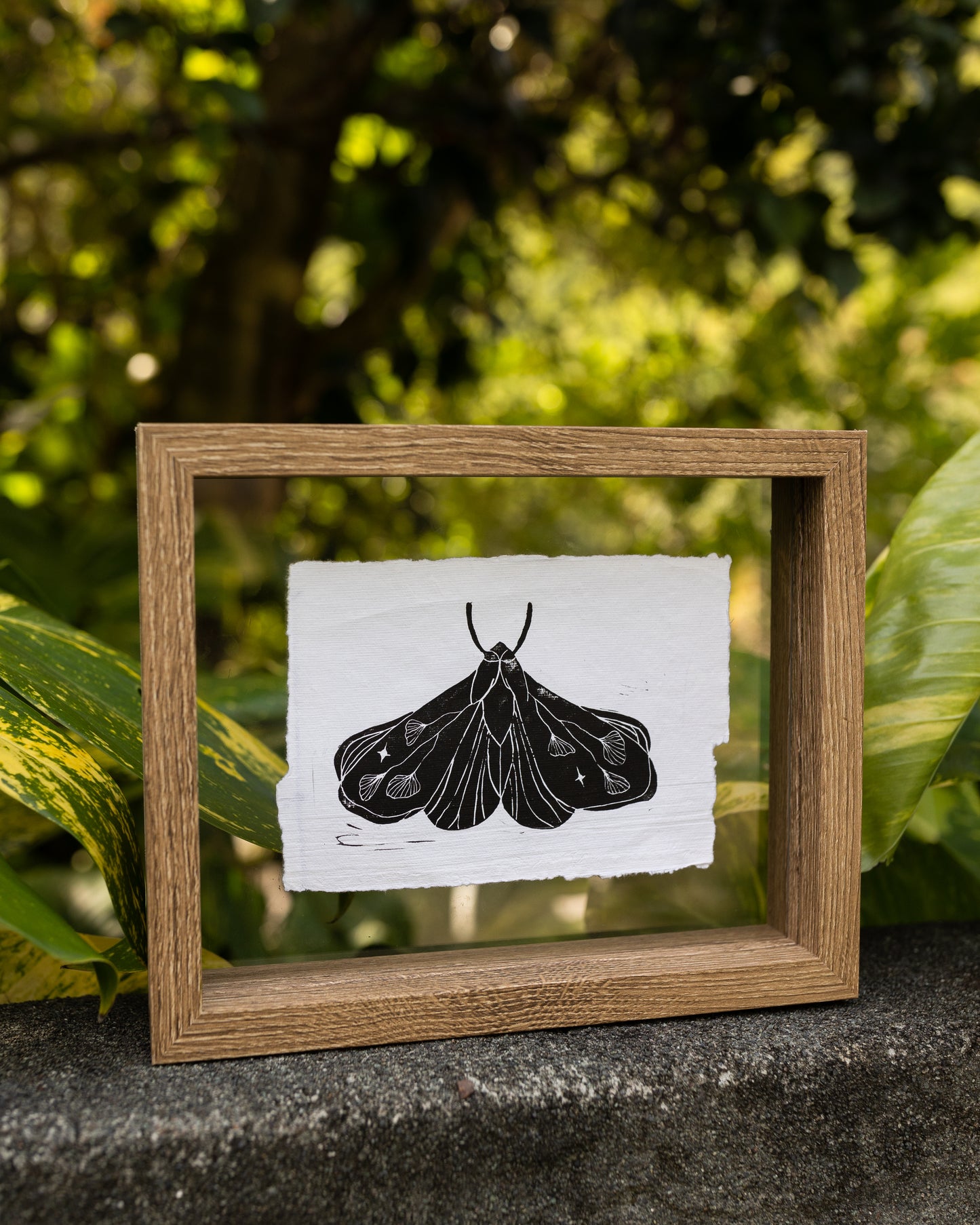 Maiden Moth Block Print